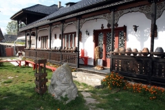 Muzeul mastilor - Ion Nicolae